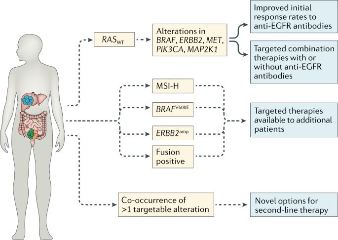 Global Cancer Biomarkers Market Size research report 2022 