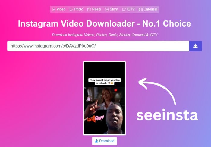 Download Instagram Video from seeinsta.com