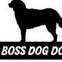 bossdogdodo