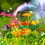 google_user_7942