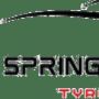 springfieldtyres