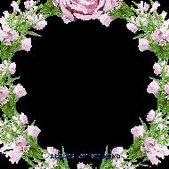 google_user_1428