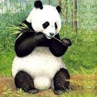 wenyue