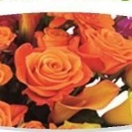 dwfloristdecor