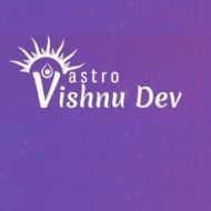 astrologervishnudev