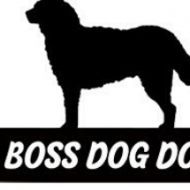 bossdogdodo