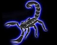 user_6