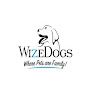 WizeDogsLabradors