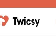 twicsysv