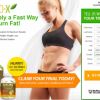 https://goldencondor.org/bio-x-garcinia-cambogia 