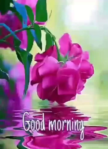 Good morning 